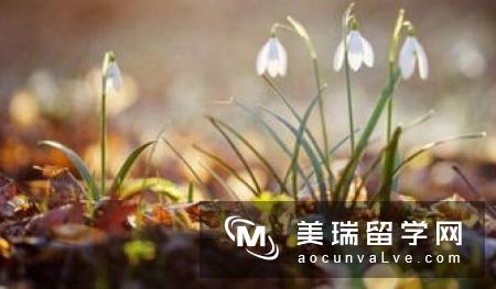 英国兰卡斯特大学和拉夫堡大学谁比较好？