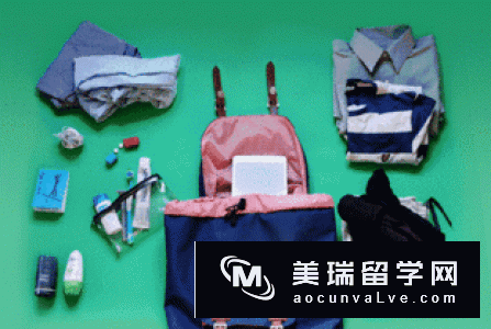 出国留学,哪些东西不要在国内购买? 出国留学,哪些东西不要在国内购买?