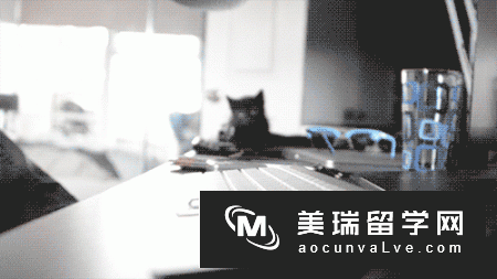 好留学网：澳洲留学商科怎么样？