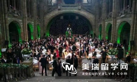 英国CEO产出量最高的大学是？