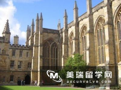 达芬奇母亲身世之谜被牛津大学艺术史教授揭开!