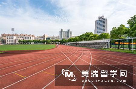 纽卡斯尔大学的正规网址为⁇,而这个假网站的真实性可能比正规网站更高