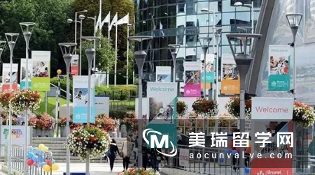 英国CEO产出量最高的大学是？