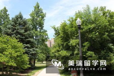 肯特大学在哪个城市呢?
