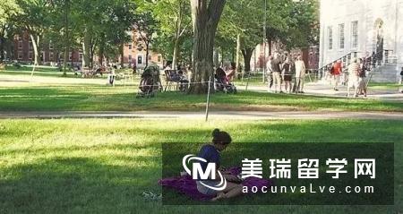 想去留学的学生看看世界一流大学的学生是怎样学习的？值得深思