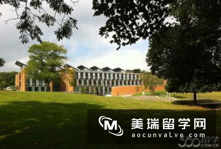 英国萨塞克斯大学和东安格利亚大学哪个好？