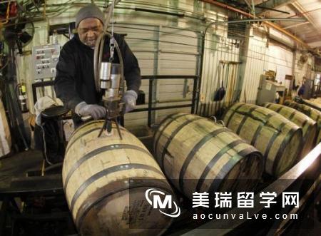 英国留学之英国奇葩课程，让人哭笑不得