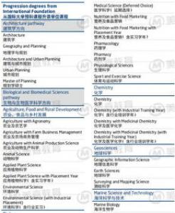 你的高考成绩能上英国的哪所大学?