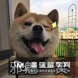 英国留学生活必备技巧你知道吗？