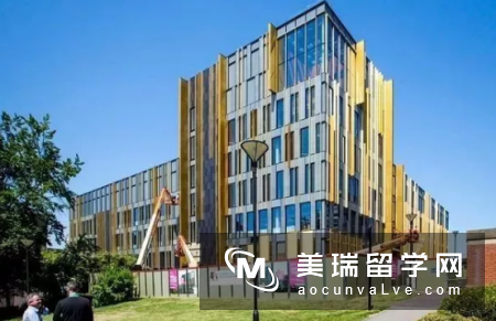 英国CEO产出量最高的大学是？