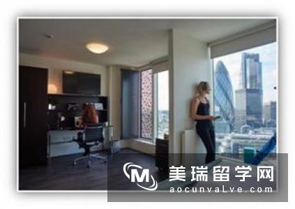 纽卡斯尔大学的正规网址为⁇,而这个假网站的真实性可能比正规网站更高