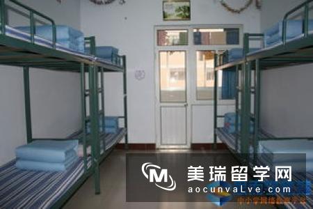 埃塞克斯大学的住宿体验应该是非常好的