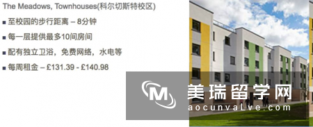 埃塞克斯大学的住宿体验应该是非常好的