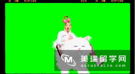 英国留学之英国奇葩课程，让人哭笑不得