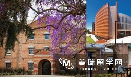 最热门的商科留学生统计|毕业后他们去了哪里?