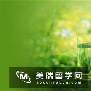 大三女生起点低不放弃 成功留学英国读硕士