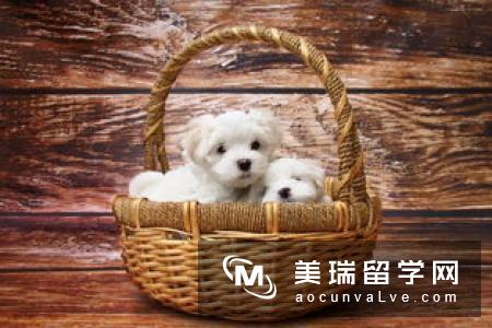 18年英国大学宿舍生活事项分析
