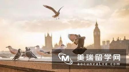 英国留学怎么分期交学费?