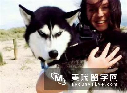 英国博士读几年你知道吗?