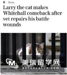 不得不看|英国名校之间的宫斗大戏