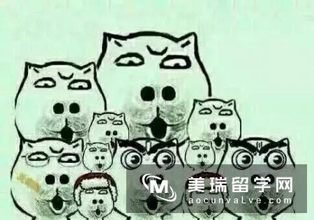 英国留学不知道选什么专业？这些专业了解一下！