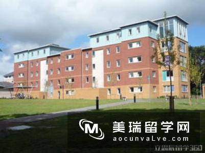 英国留学文科热门专业介绍