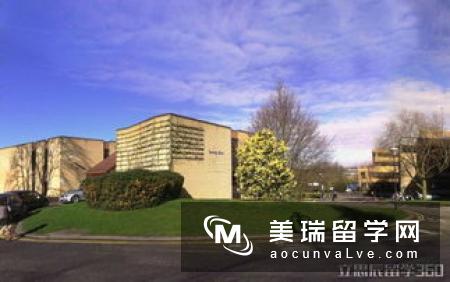 2017英国萨里大学世界排名