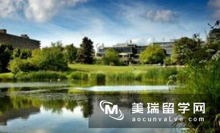 2017英国萨里大学世界排名
