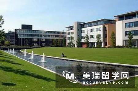 英国商学院哪个专业比较好？