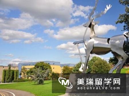 英国萨里大学世界排名怎么样？