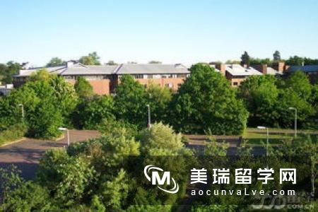 英国雷丁大学亨利商学院世界排名