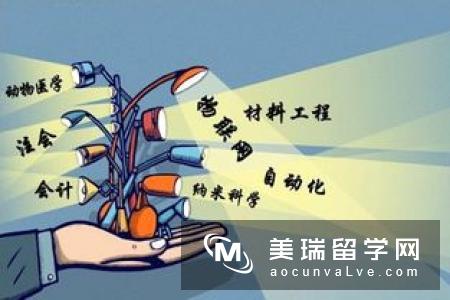 专业选择：英国留学本科专业如何选择？