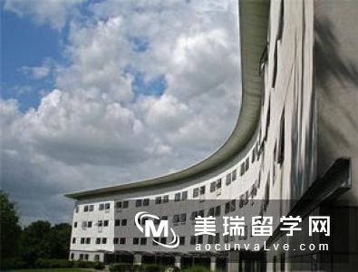 埃塞克斯大学新开设含实习硕士专业