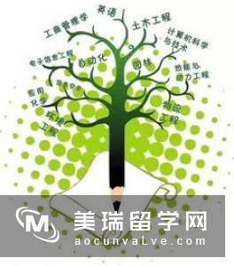 选择困难症？英国留学到底选什么专业？