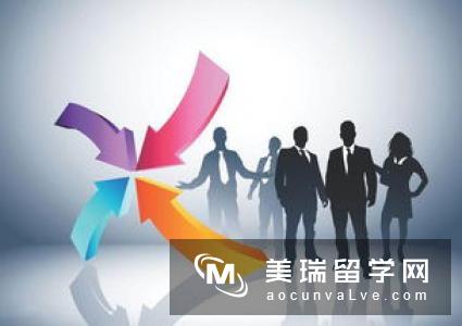 曼大商学院人力资源管理课程有哪些?