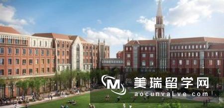 英国最受欢迎的大学专业TOP10