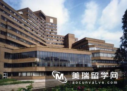 女孩子去英国留学选择什么专业比较好?