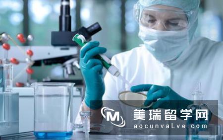 去英国留学怎样选择专业？有什么技巧？