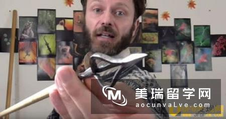 英国历史学专业和国内的有什么区别?