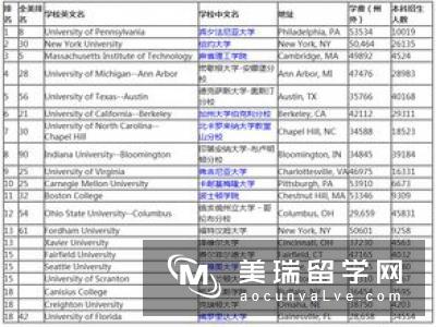 申请布鲁内尔本科热门专业要求是什么?