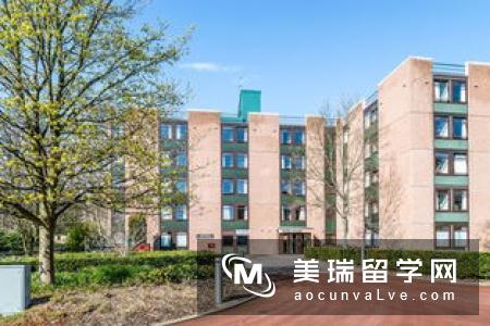 英国爱丁堡大学文学类专业怎么样？