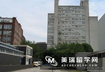 英国曼彻斯特大学TESOL专业入学要求有哪些？