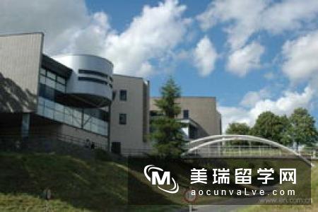 留学英国约克大学的条件是什么？