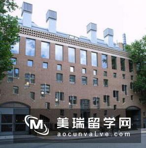 英国埃塞克斯大学本科留学条件有哪些？