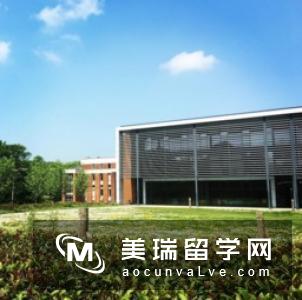 英国苏赛克斯大学TESOL专业入学要求