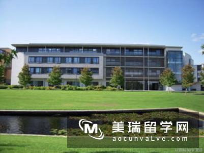 英国这些大学偏爱211背景的学生！