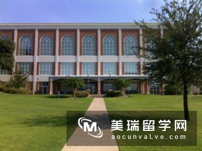 英国留学专业的选择更加多元化