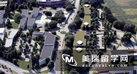 英国埃塞克斯大学申请条件是什么？